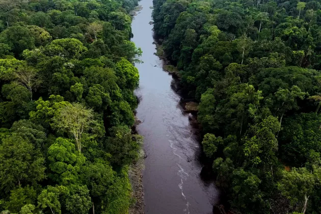 Luftansicht eines Flusses durch den tropischen Regenwald in Äquatorialguinea
