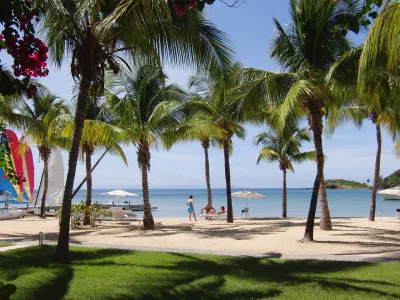 Palms on Antigua