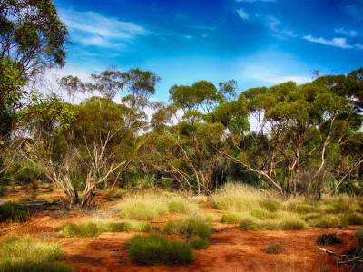 Nature of Australia