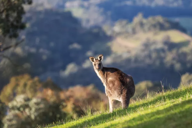 Ecotourism in Australia