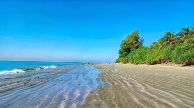 Ein Strand mit Bäumen, Bangladesch
