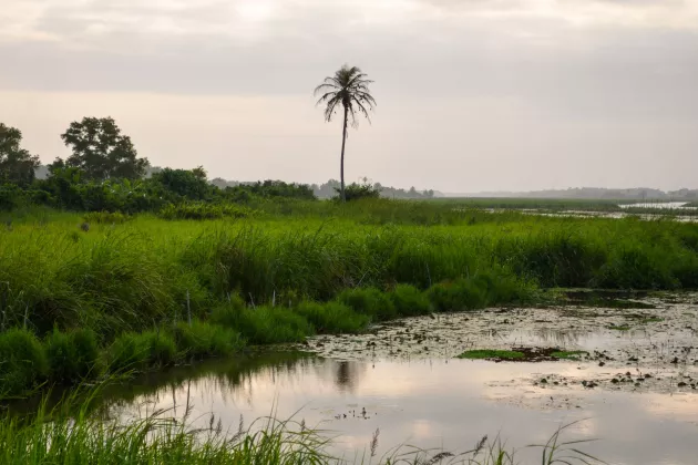 Ebrié Lagune in Grand-Bassam, Elfenbeinküste, idyllische Wasserlandschaft