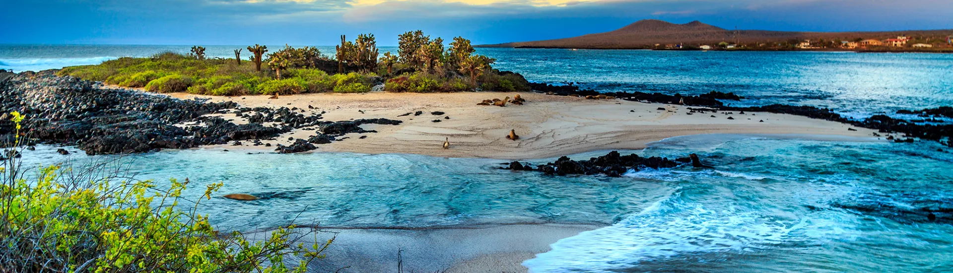 Galapagos-Inseln in Ecuador