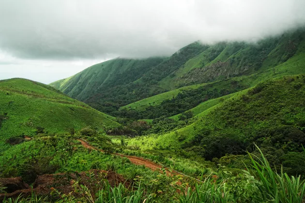 Nimba Mountain