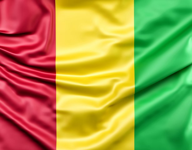 Flagge von Guinea