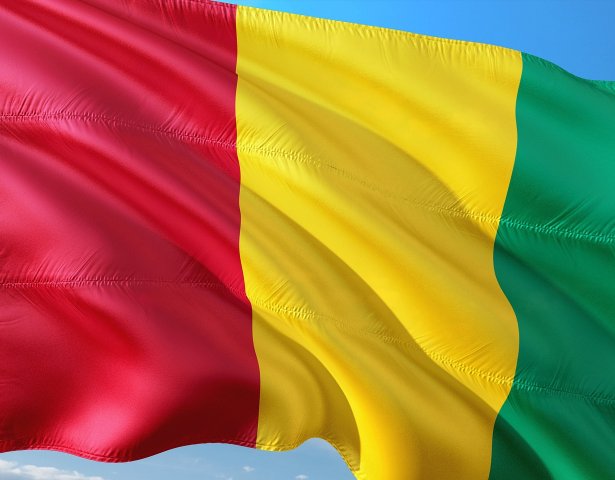 Guinean flag