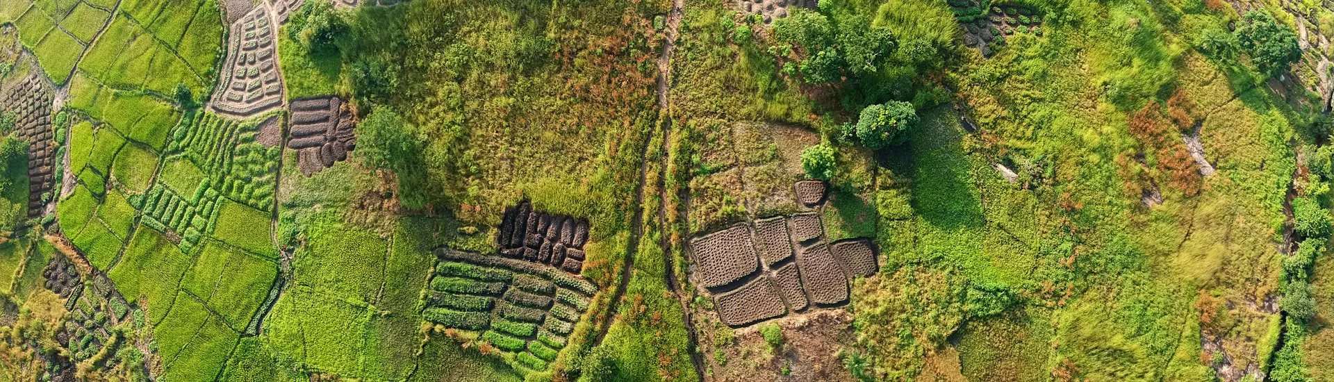 Landschaft in Guinea