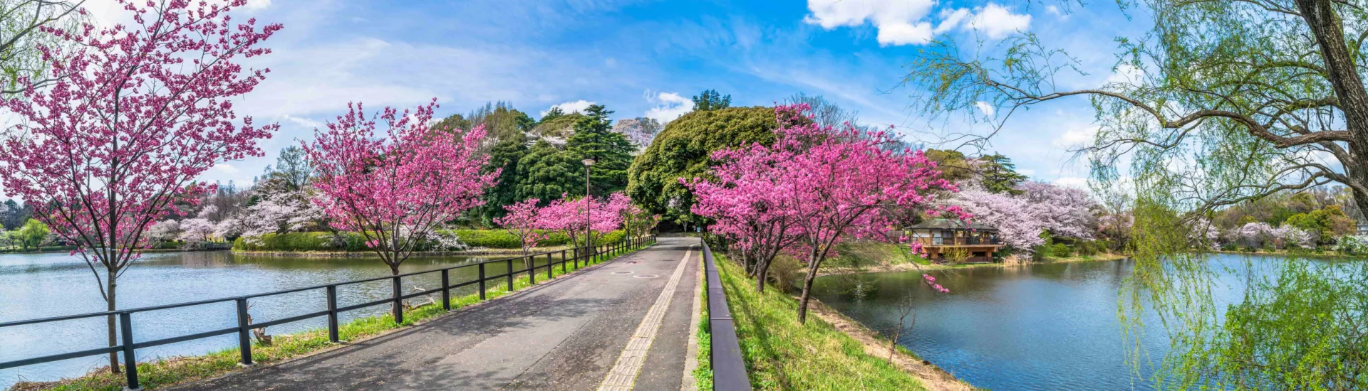 Yokohama, Japan