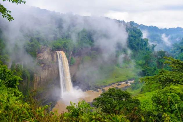 Ökotourismus in den Regenwäldern von Kamerun