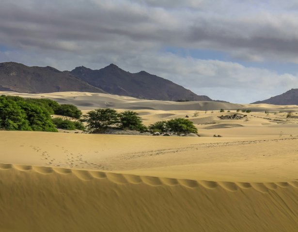 Boa Vista, Cape Verde