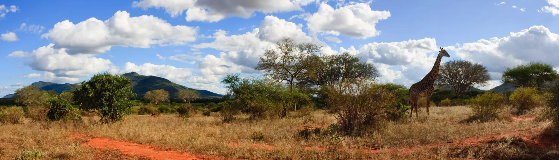 Naturlandschaft in Kenia mit Bergen und Pflanzen 