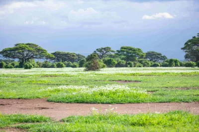 Landschaften in Kenia