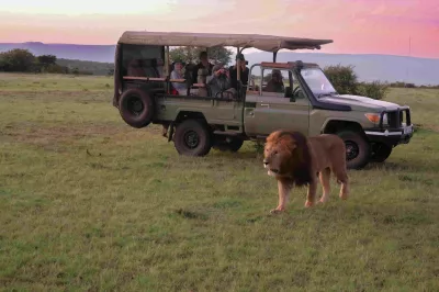 Löwen-Safari in Kenia