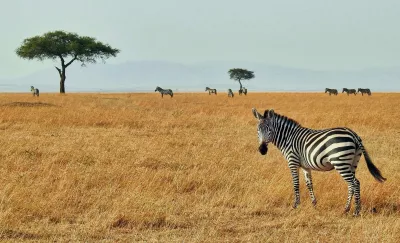 Die Natur Kenias