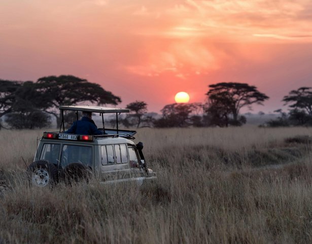 Jeep-Safari in Kenia und Natur