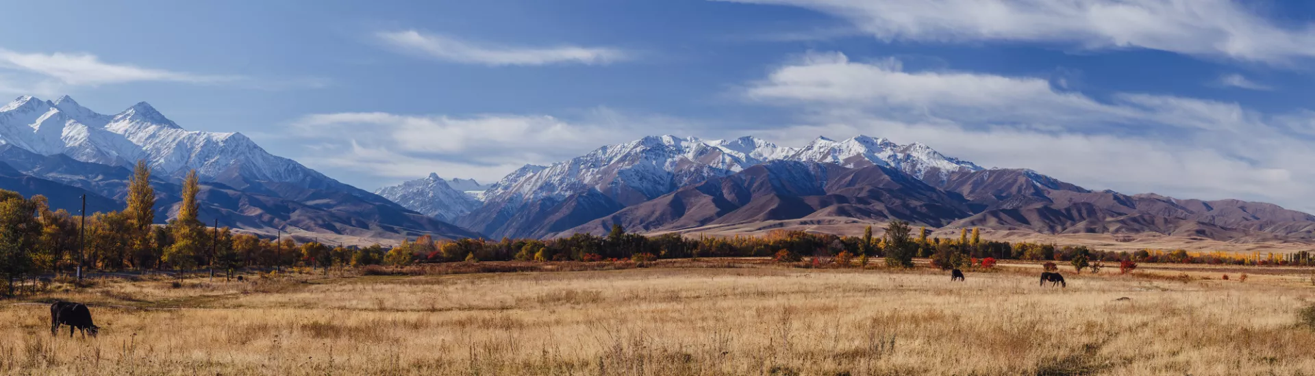 Steppe in der Nähe des Ala-Archa-Nationalparks Bischkeke Kyrgysztan mit dem Tian-Shan-Gebirge im Hintergrund