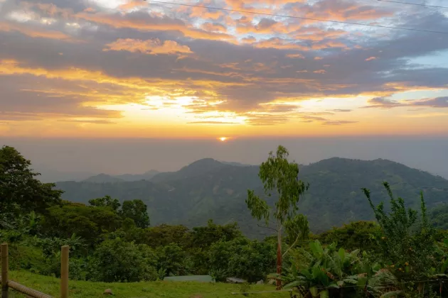 Mountains and forest at sunset