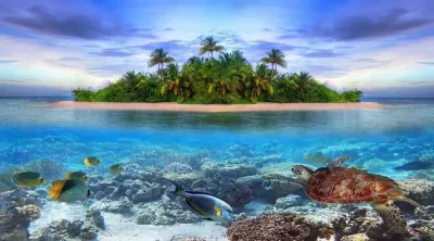 Tauchen Sie ein in die Meereswelt der Malediven