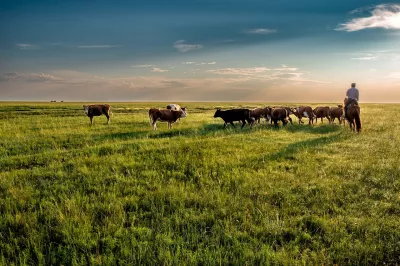 Ebene in der Mongolei