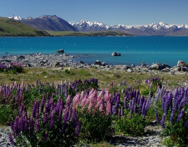 Lake Tekapu