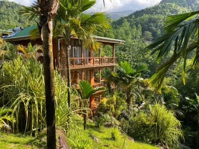 green palm tree near brown wooden house during daytime