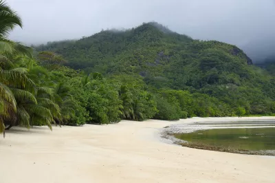 ein Strand mit Bäumen und einem Hügel im Hintergrund