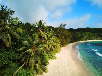 The coast and the palm trees