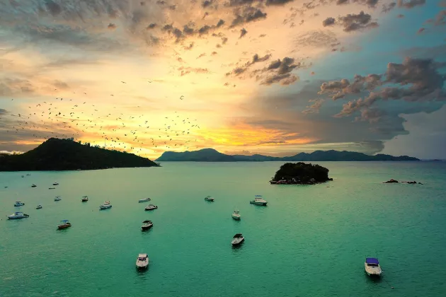 Yachts at sea at sunset