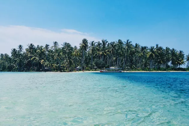 An island of palm trees