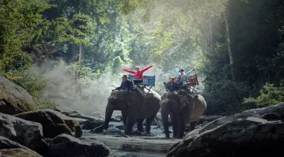 Elefantenwanderung, Thailand