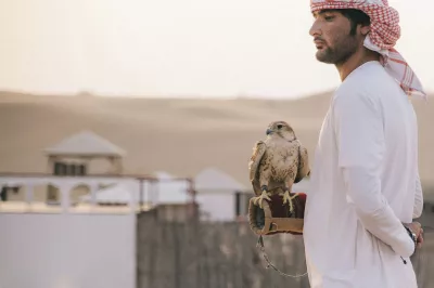 Hunting with a falcon