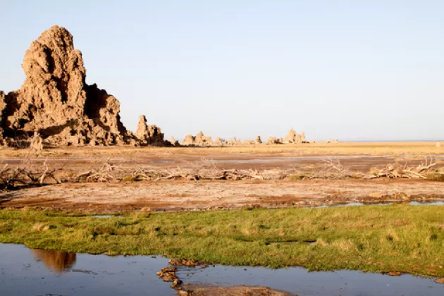 Landschaftszug in Dschibuti