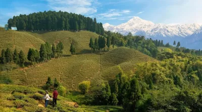 The city of Darjeeling, India