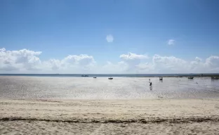 Panoramablick auf den Strand, Kenia