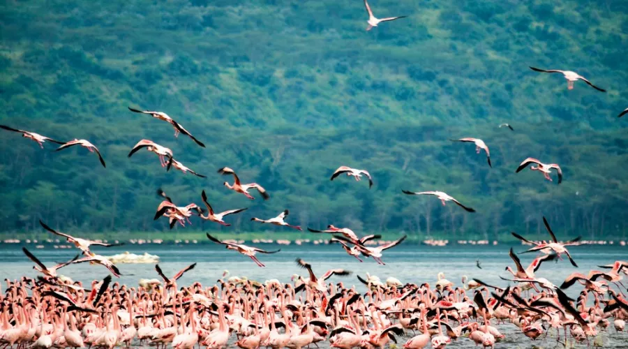 Kenia wird die Eintrittspreise für Nationalparks erhöhen