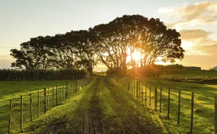 Taranaki, Neuseeland