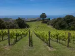 Waiheke Island Neuseeland