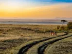 Sonnenuntergang in Afrika