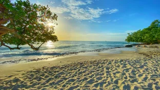 Eagle Beach Strip, Aruba