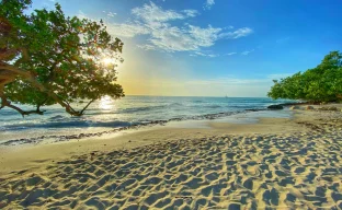 Eagle Beach Strip, Aruba